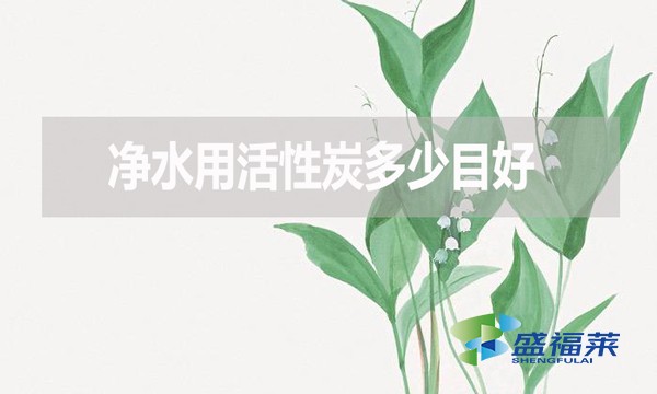 凈水用活性炭多少目好？有哪些優(yōu)缺點(diǎn)？