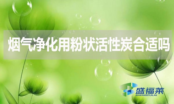 煙氣凈化用粉狀活性炭合適嗎？