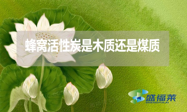 蜂窩活性炭是木質(zhì)還是煤質(zhì)？哪種好？