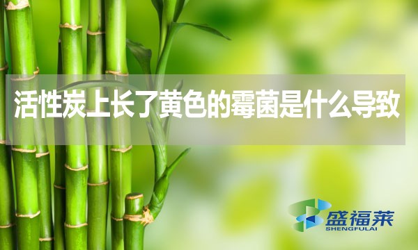 活性炭上長(zhǎng)了黃色的霉菌是什么導(dǎo)致的？還能不能使用？